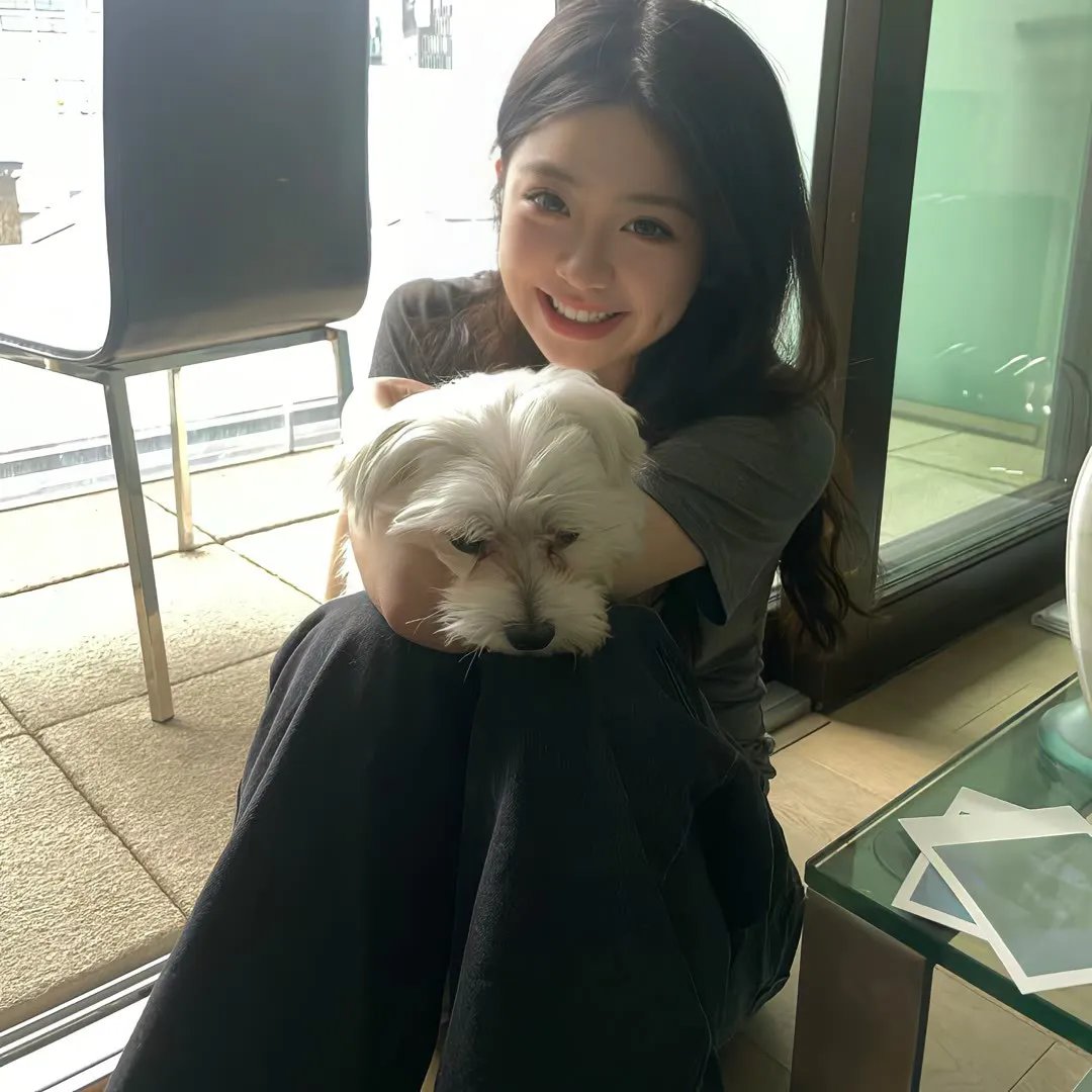 全面回忆